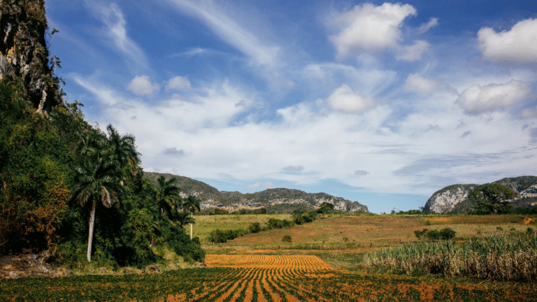 Havana to Viñales Day Trip: A Local’s Guide