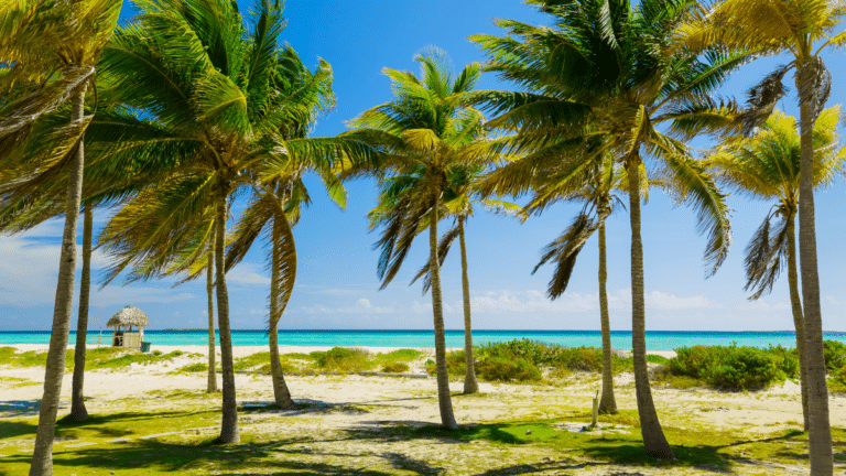 7 Best Cayo Coco Resorts [2024 Guide]